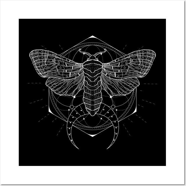 Satin Moth | Crescent Moon Wall Art by CelestialStudio